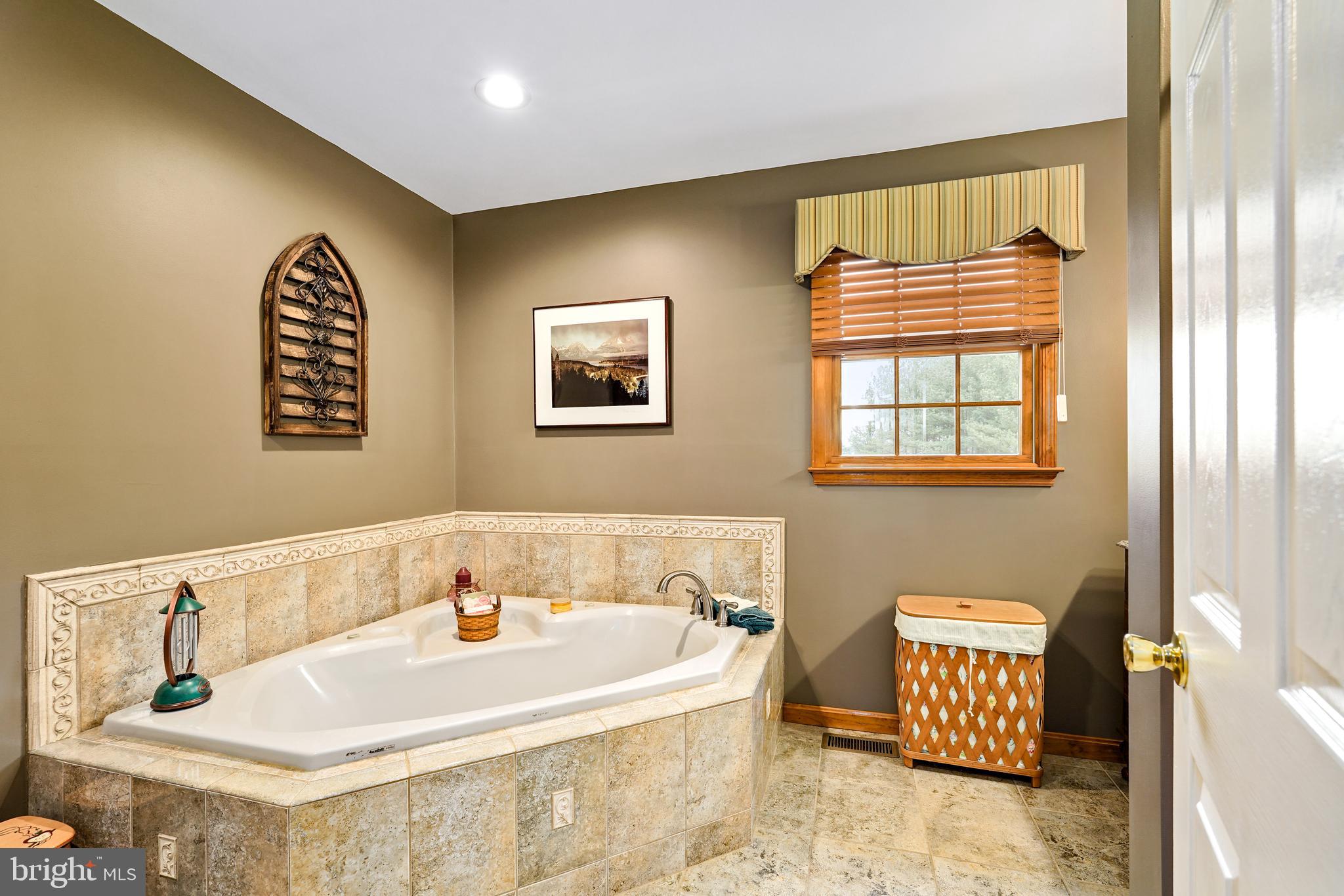 17 Buckwheat Run Road North East, MD 21901 - Photo 23 of 36 Primary Bath has jacuzzi tub.