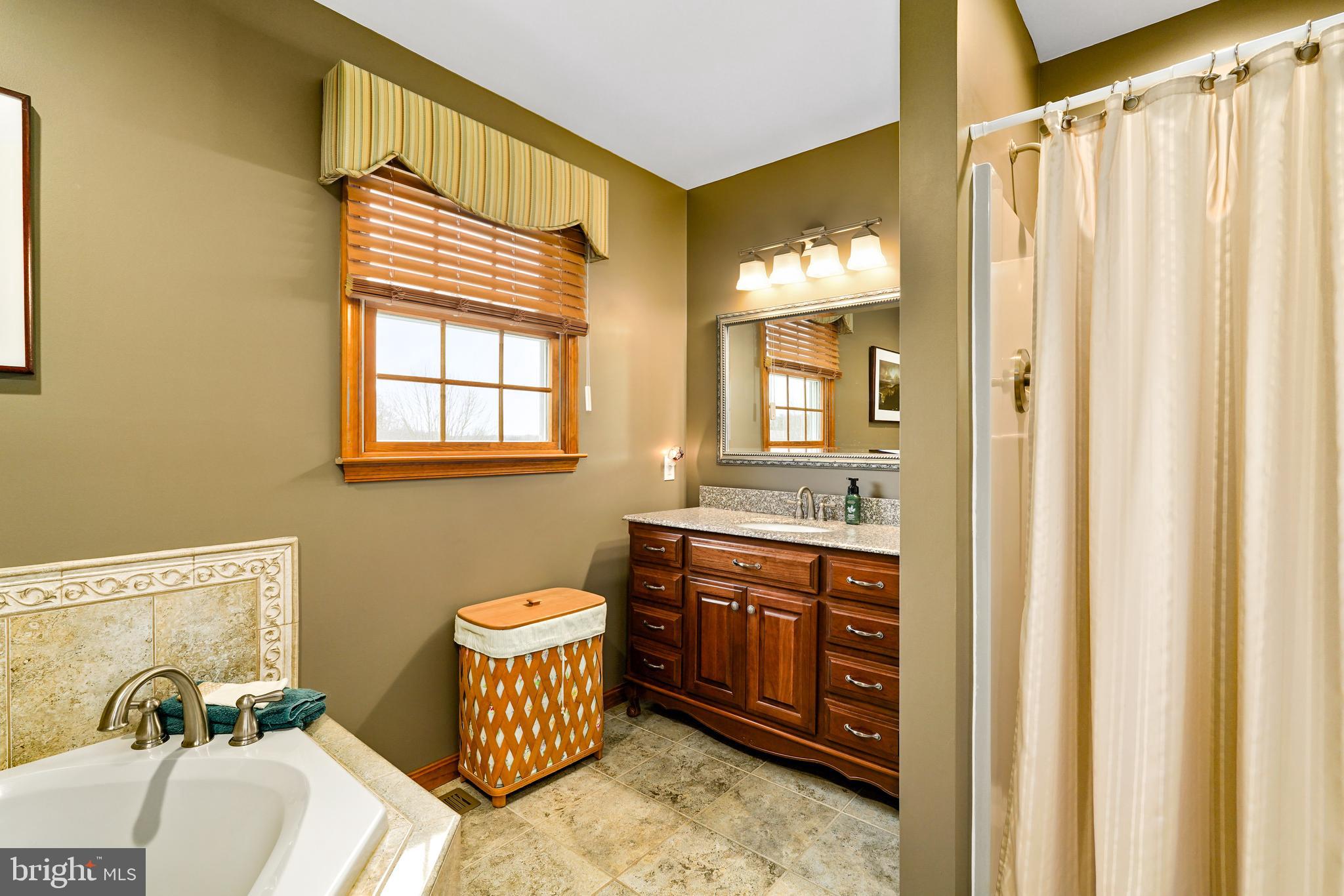 17 Buckwheat Run Road North East, MD 21901 - Photo 24 of 36 Primary bath also has separatye shower.