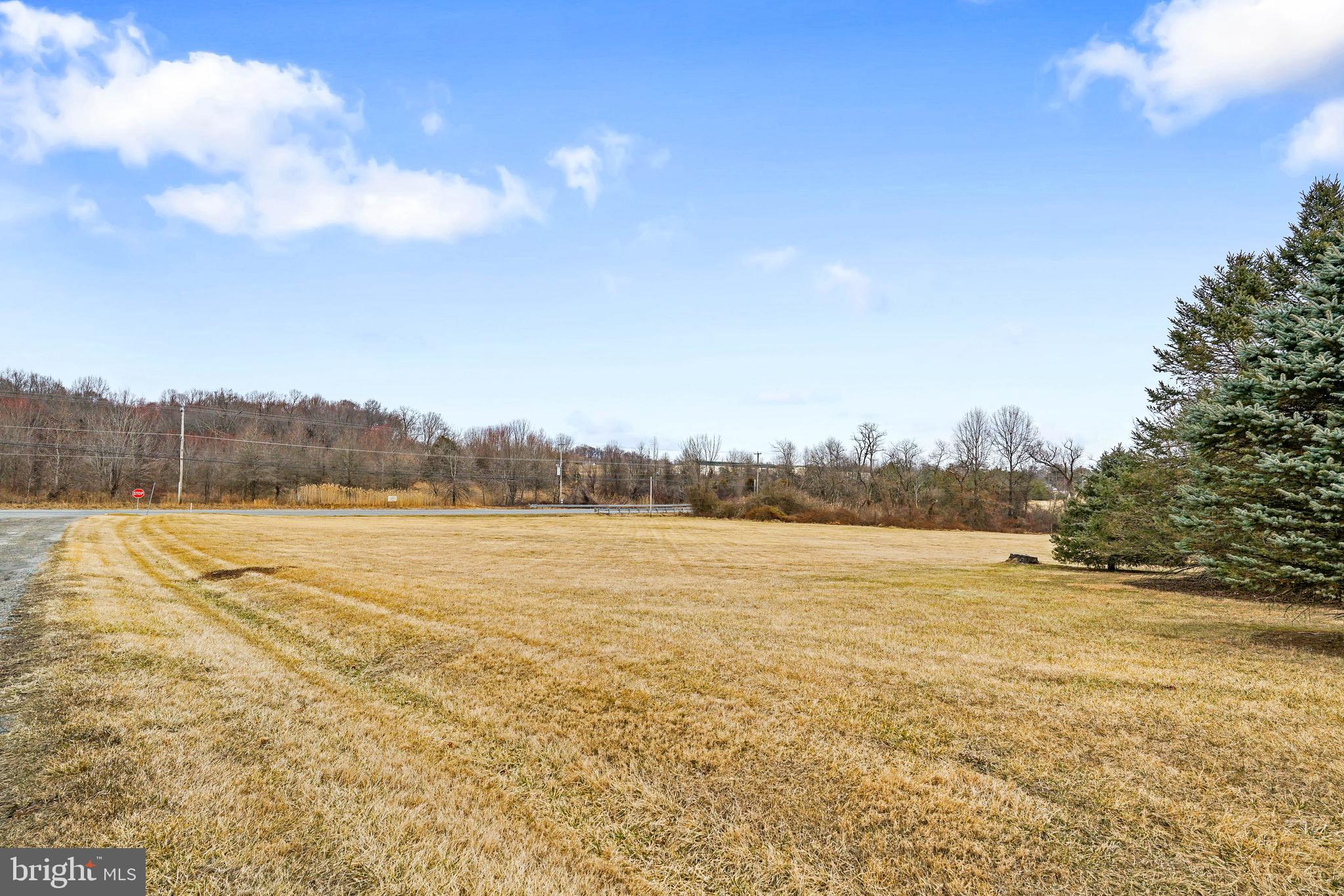 17 Buckwheat Run Road North East, MD 21901 - Photo 34 of 36 Beautiful yard to add fencing and/or barn!