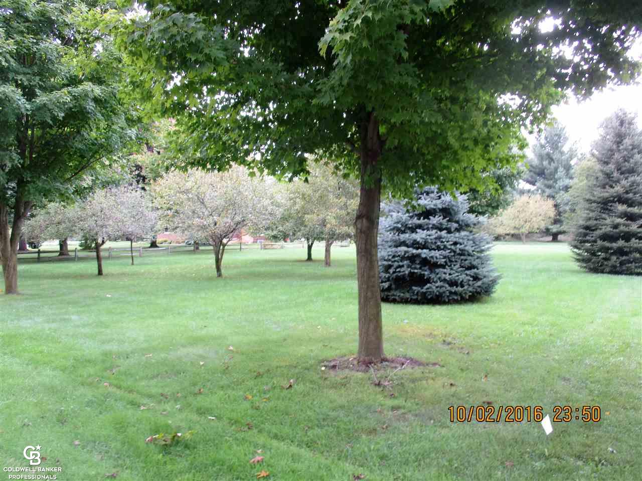 1283 Kronner Road Columbus, MI 48063 - Photo 3 of 20