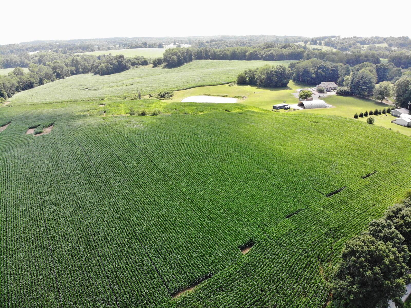 10210 Palmer Road Hopewell, OH 43746 - Photo 28 of 37