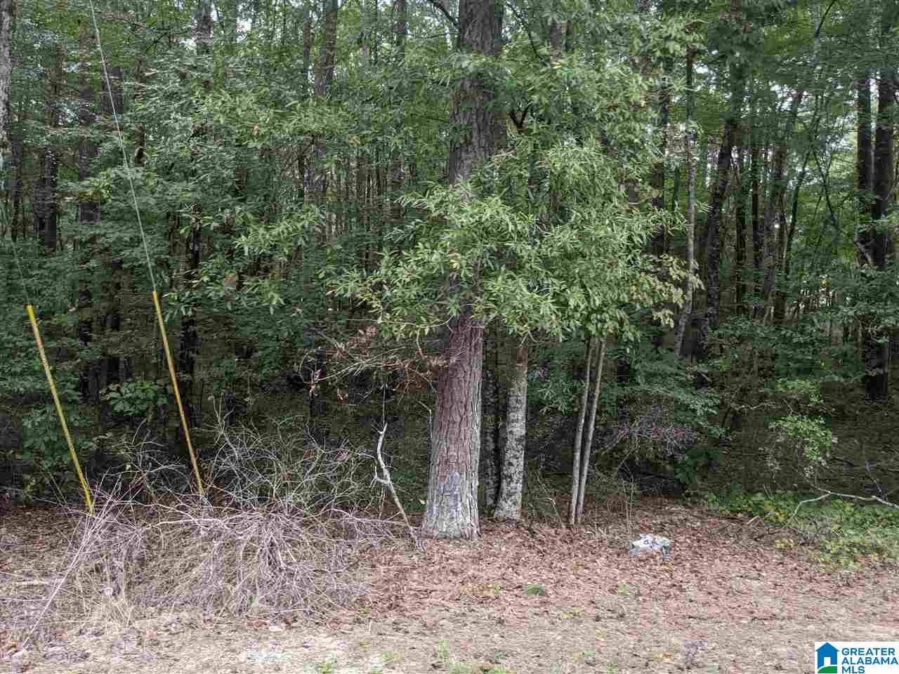 0 Smith Avenue, Unit 3 2 Anniston, AL 36207 - Photo 24 of 43