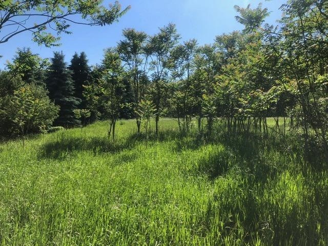 1 Hadley Road Gregory, MI 48137 - Photo 2 of 14 Photo 2