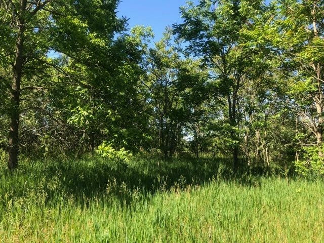 1 Hadley Road Gregory, MI 48137 - Photo 7 of 14 Photo 7