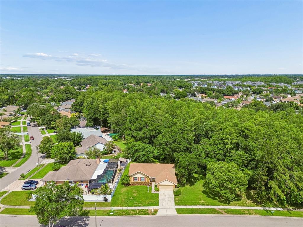 15109 Springview Street Tampa, FL 33624 - Photo 24 of 31