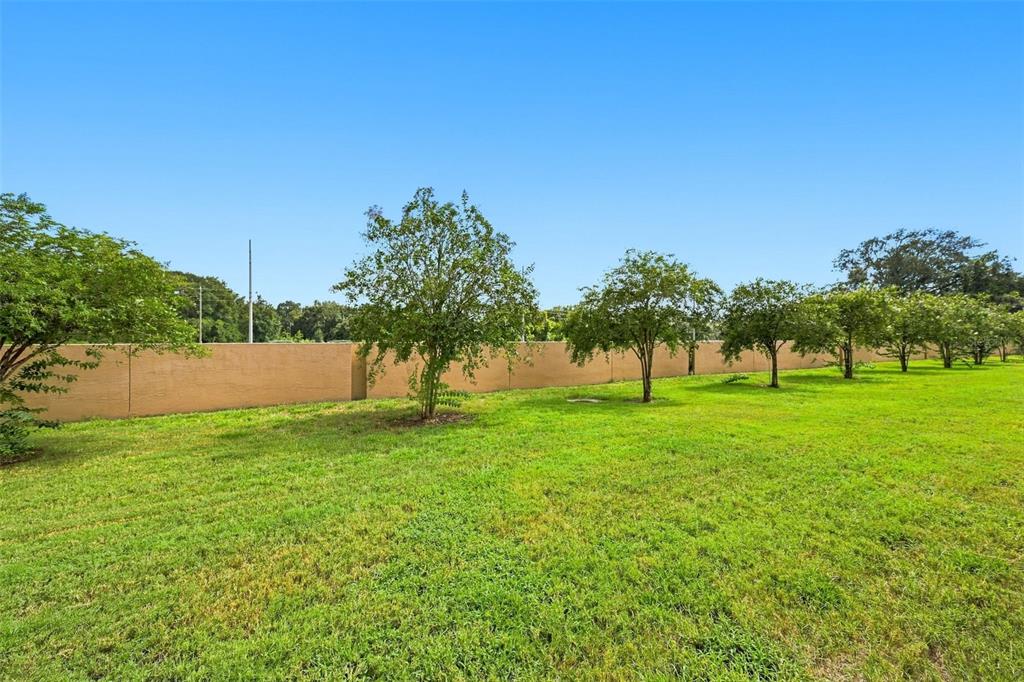 9755 Trumpet Vine Loop New Port Richey, FL 34655 - Photo 20 of 32 Gallery Image 20