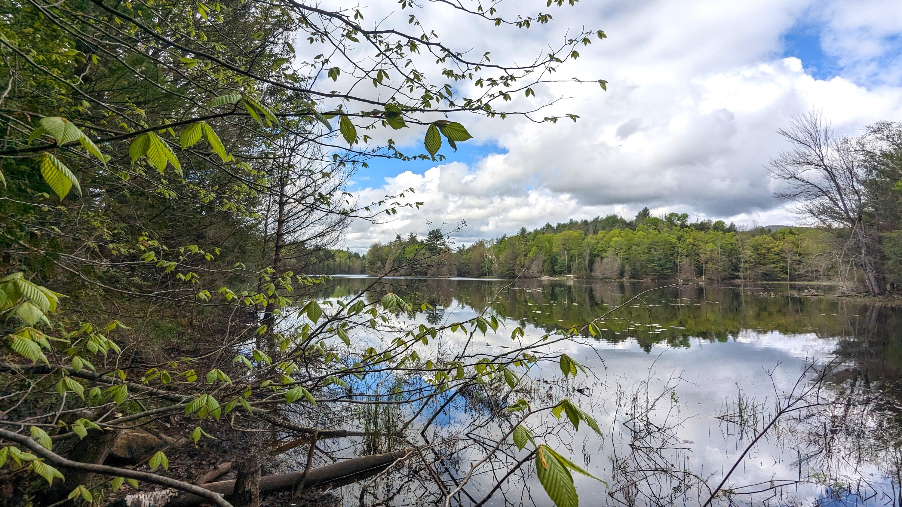 118 Sherman Lake Road Crown Point, NY 12928 - Photo 38 of 50 q Lake1