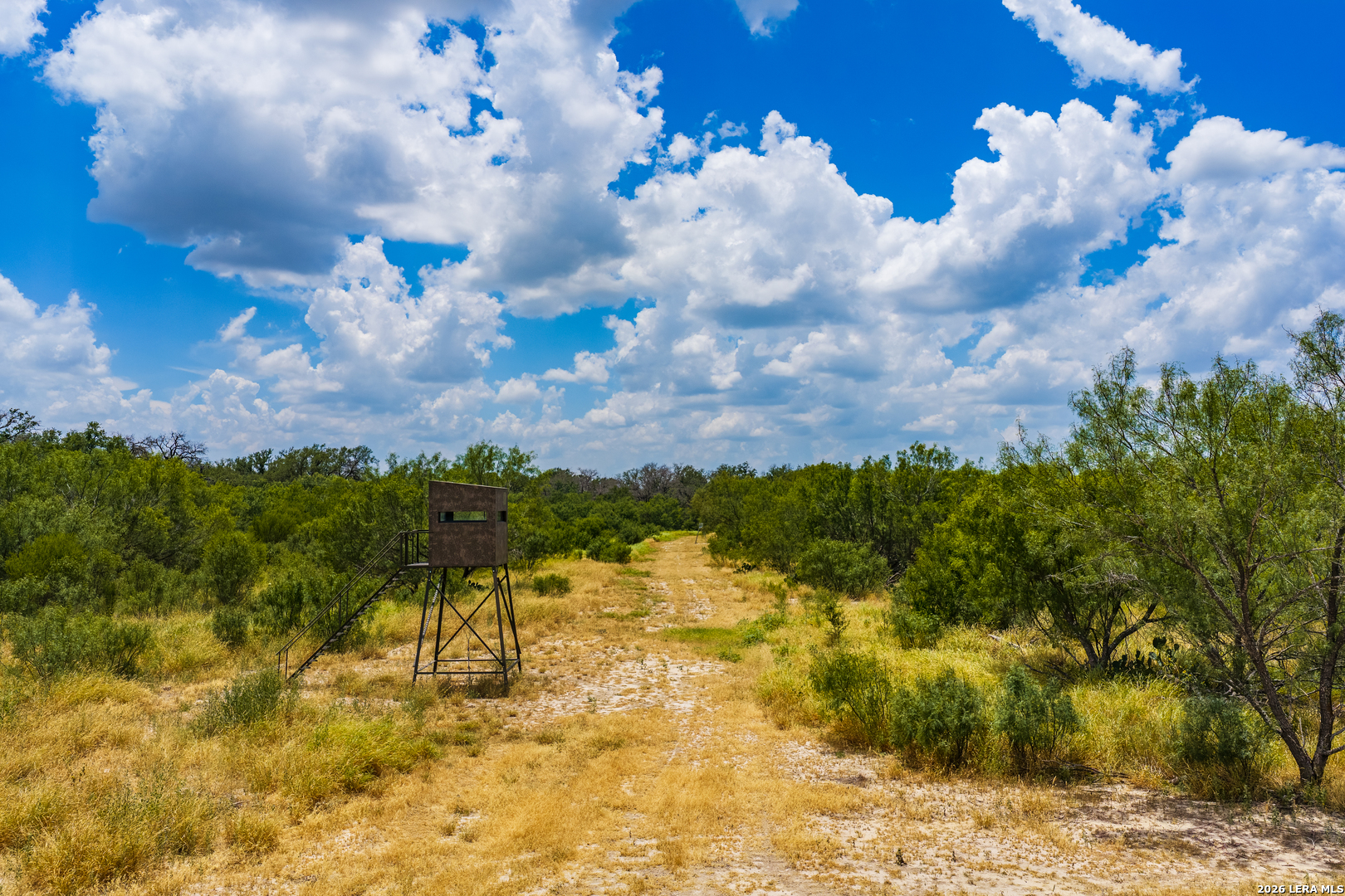 994 Marburger Road Crystal City, TX 78839 - Photo 43 of 52 Gallery Image 43