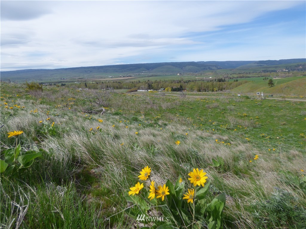 17 Ellensburg Ranches Road Ellensburg, WA 98926 - Photo 1 of 3 Gallery Image 1