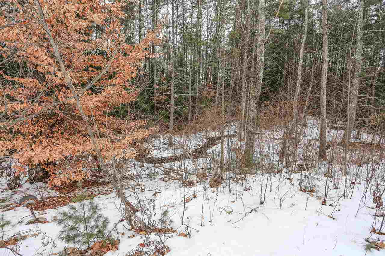 71 Hale True Road Chester, NH 03036 - Photo 40 of 40