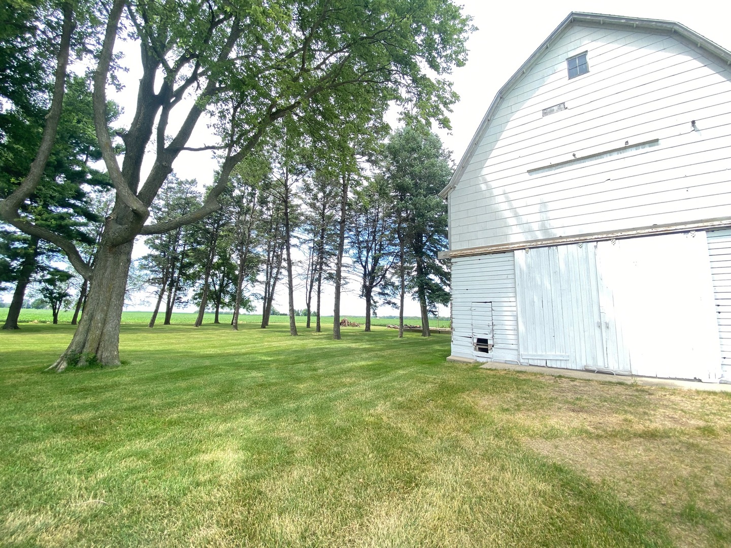 174 Kilgore Road Dixon, IL 61021 - Photo 8 of 55 a view of a backyard with large trees
