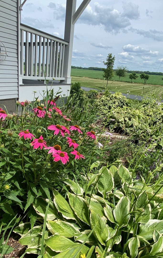 174 Kilgore Road Dixon, IL 61021 - Photo 9 of 55 a view of a flower garden in a garden
