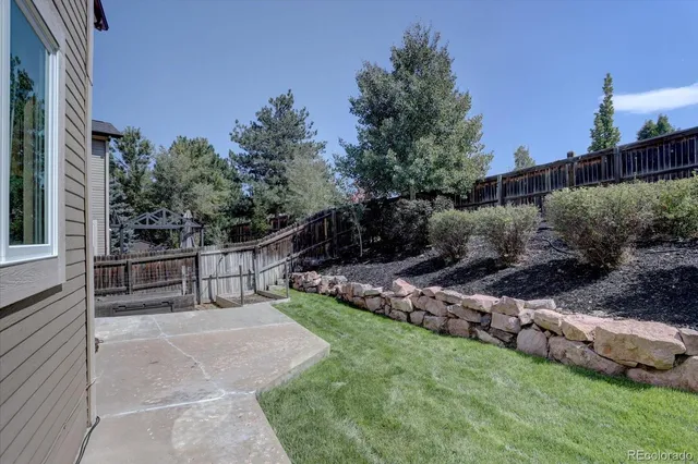 a view of a backyard with plants and large trees