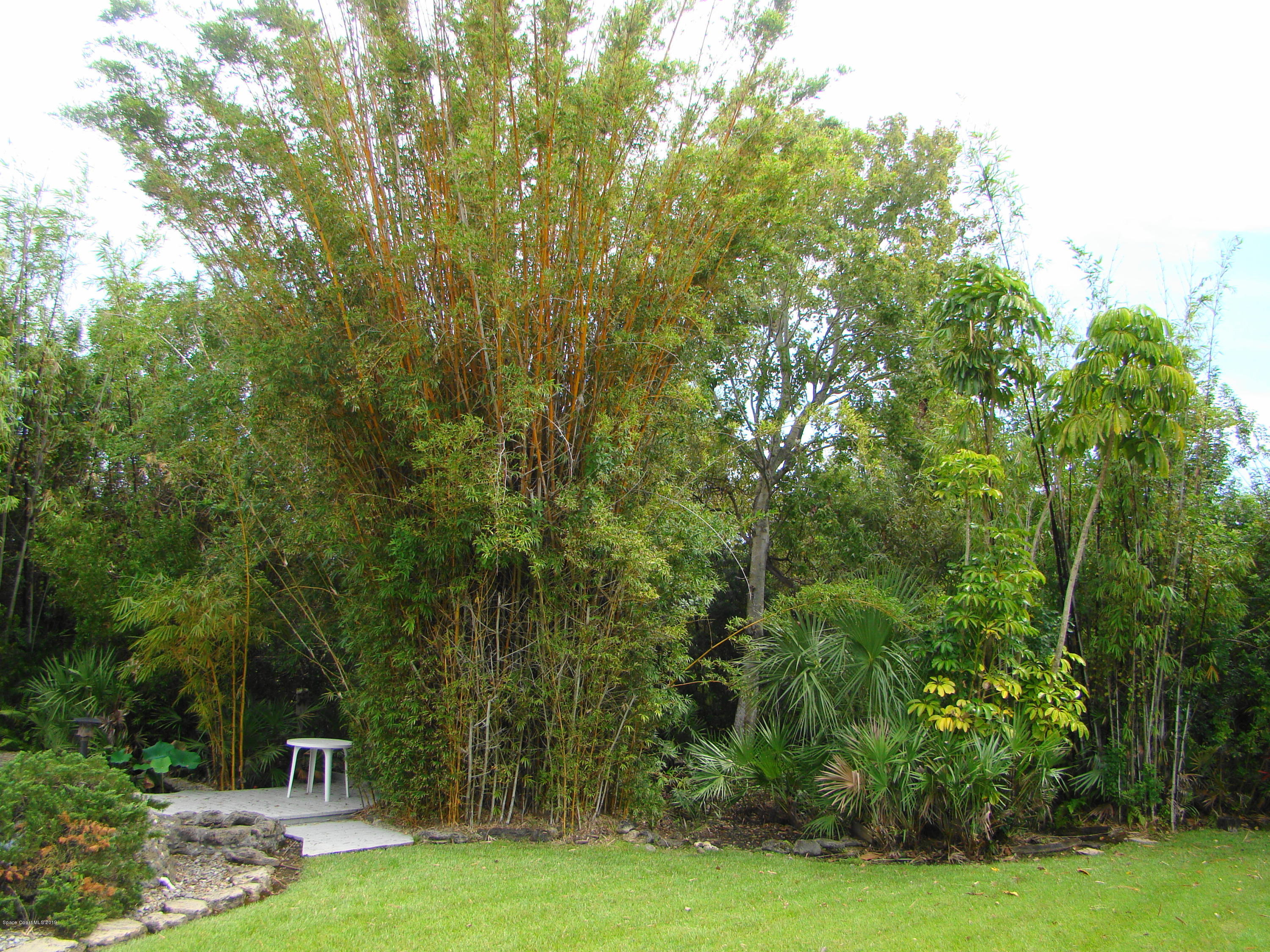 4485 Canard Road Melbourne, FL 32934 - Photo 25 of 34 MANUCRED ESTATE & 2 TYPES BAMBOO!