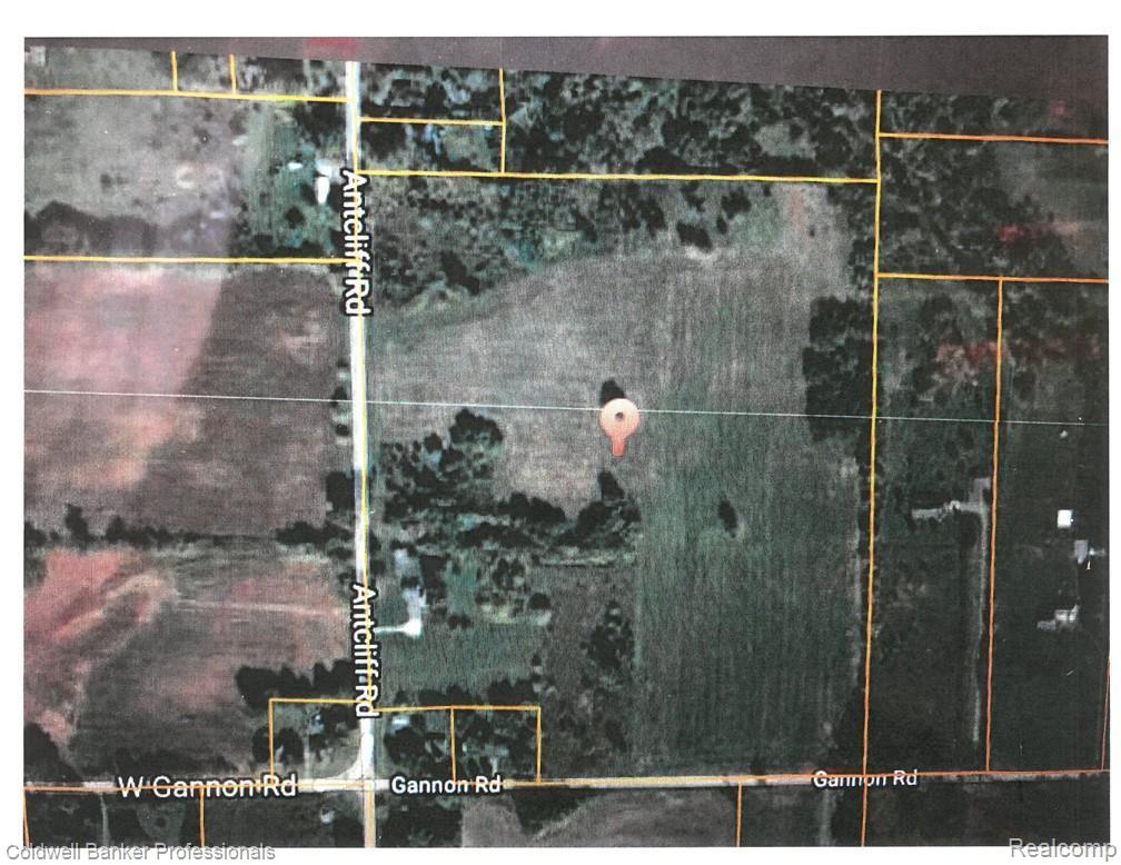 Parcel A Antcliff Road Howell, MI 48855 - Photo 5 of 5 LAND AERIAL.jpg