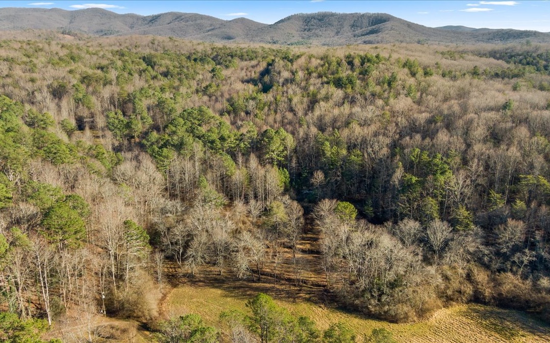Fowler Road Ellijay, GA 30536 - Photo 17 of 20 Additional View