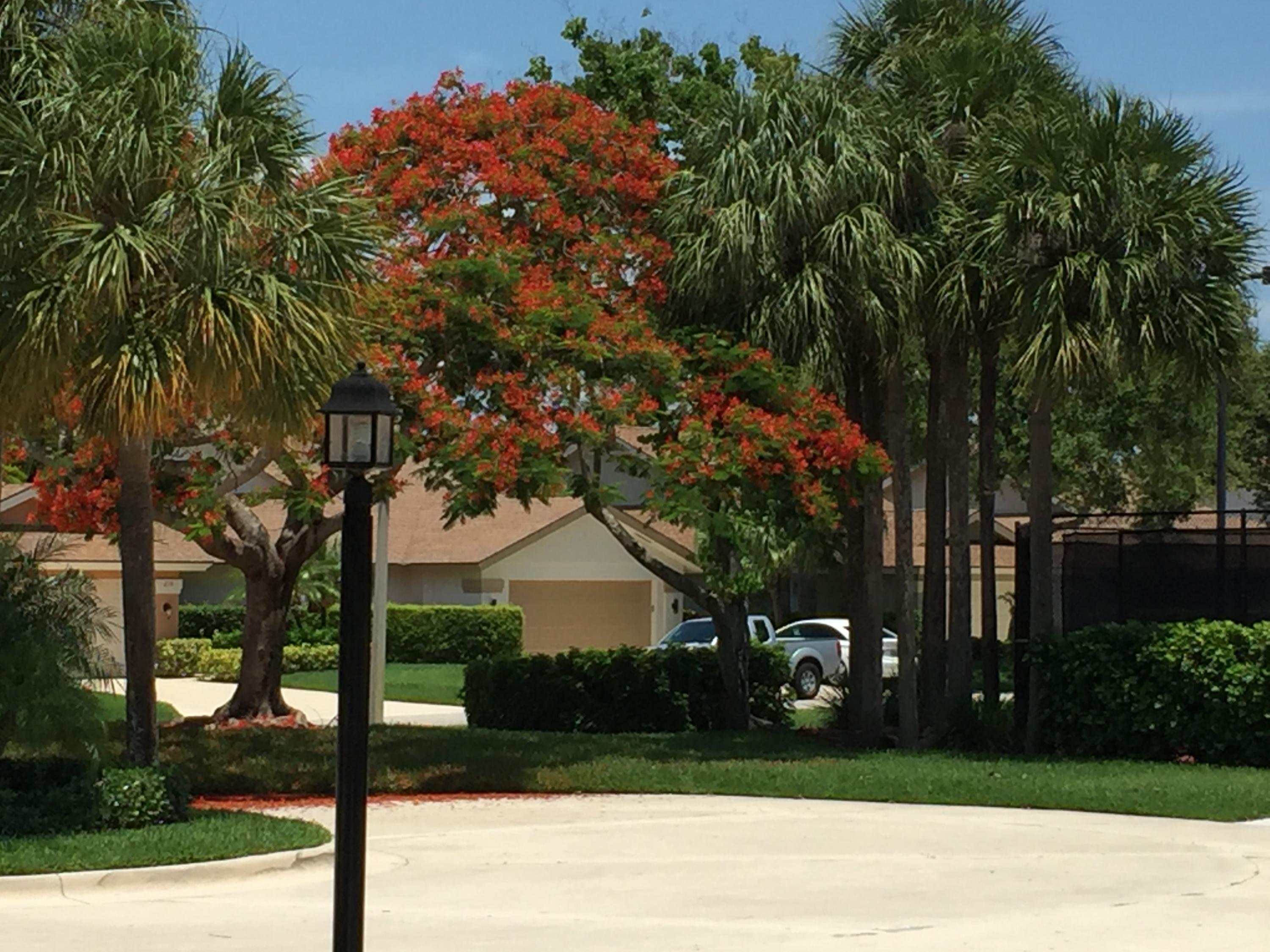 204 Cape Pointe Circle Jupiter, FL 33477 - Photo 31 of 42 IMG_5001