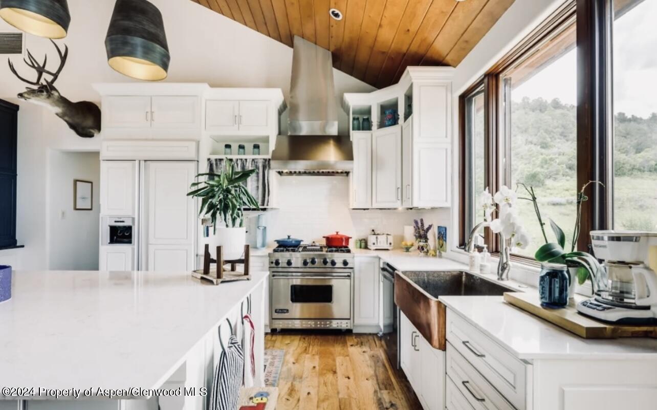 1434 Hooks Spur Road Basalt, CO 81621 - Photo 6 of 24 Thermador and Viking Appliances