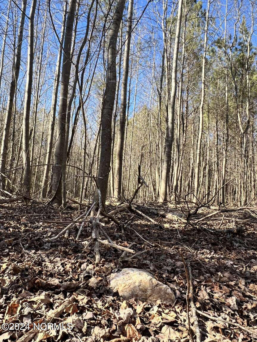 0 Highway 220 Road North Ellerbe, NC 28338 - Photo 5 of 10 Foushee.5