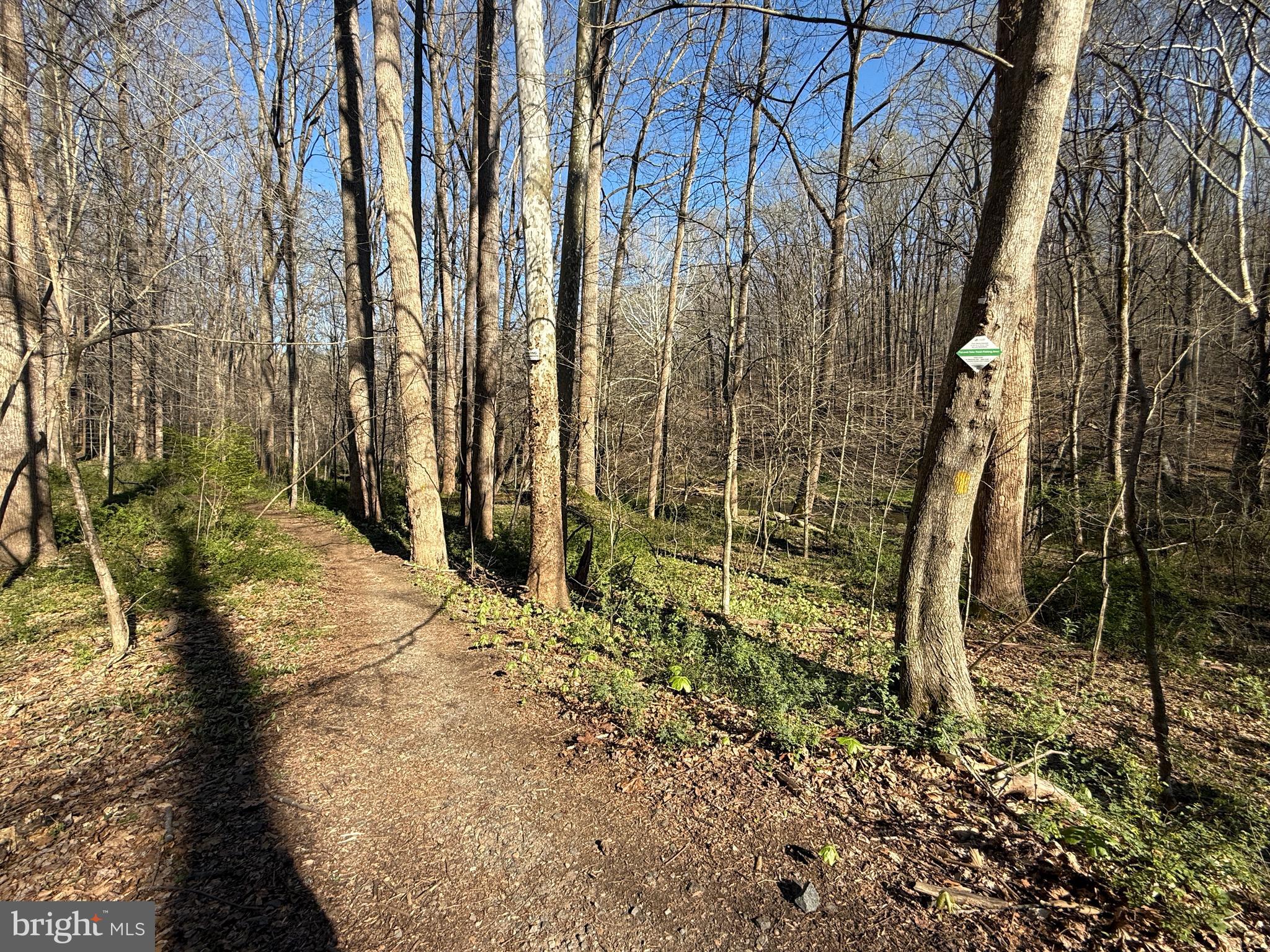 2501 Roy Terrace Fallston, MD 21047 - Photo 53 of 57 Hiking Trail off Pleasantville Rd