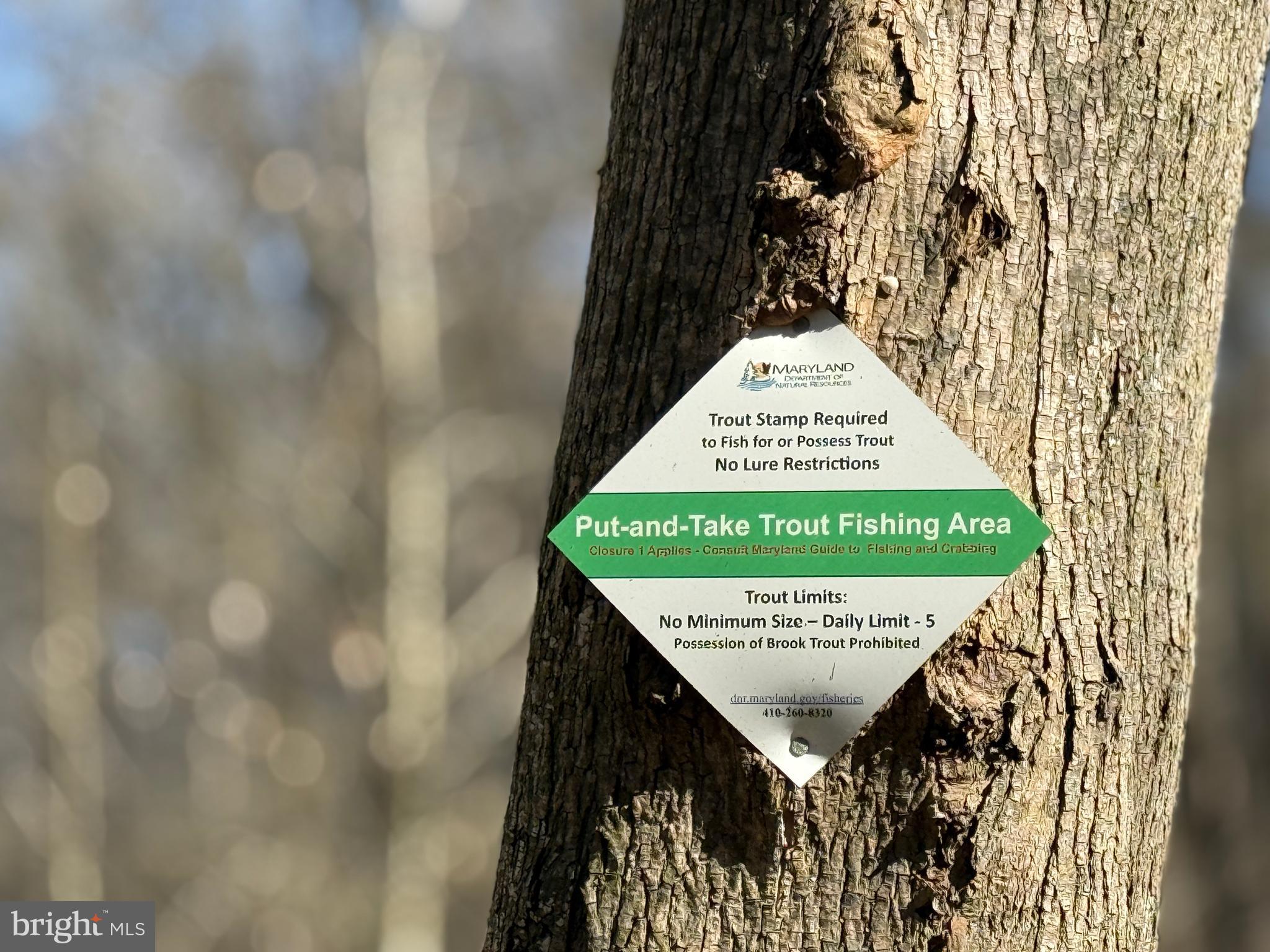 2501 Roy Terrace Fallston, MD 21047 - Photo 54 of 57 Fishing hole path off Pleasantville Rd