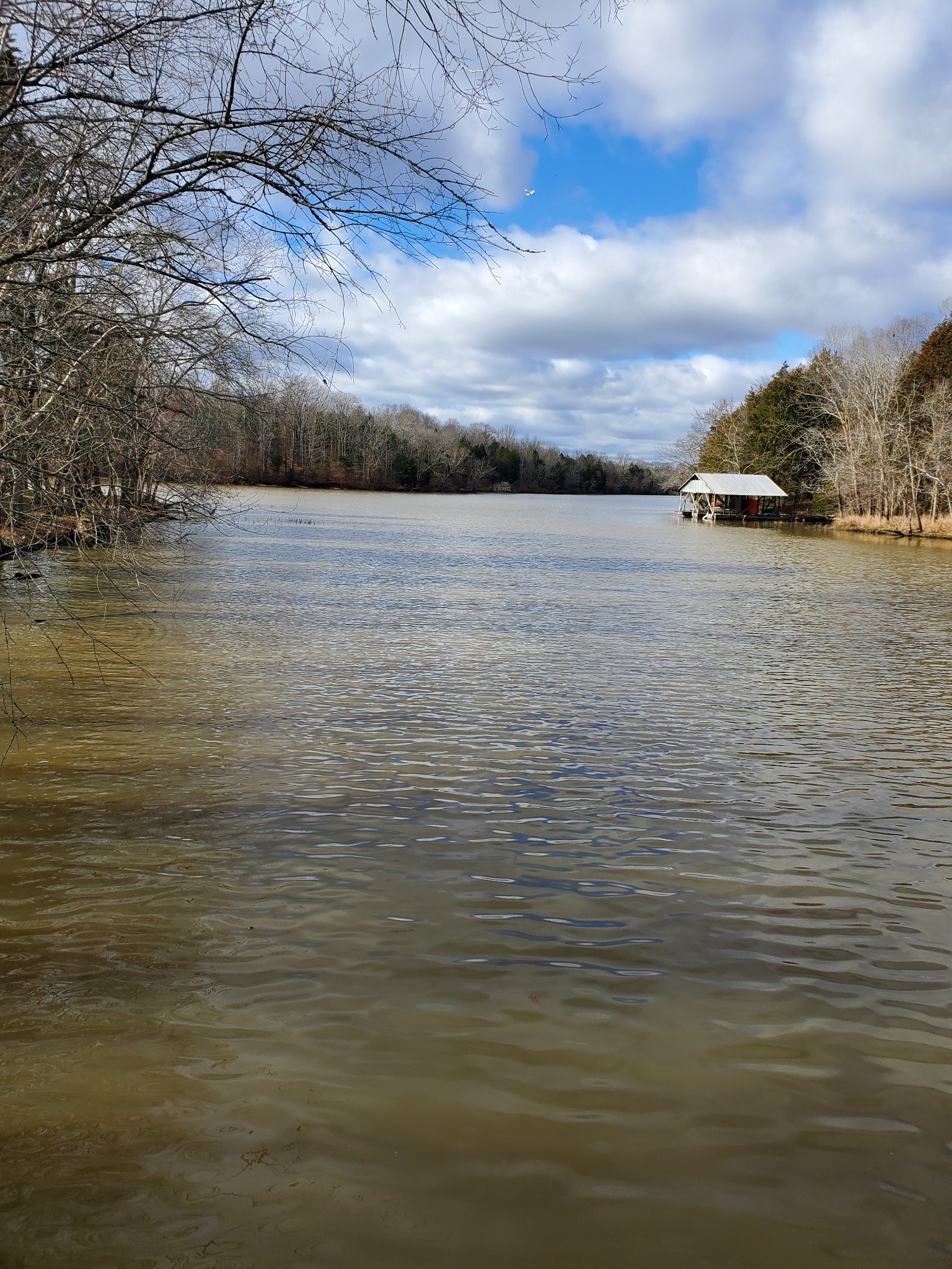 6 Flippen Road Lebanon, TN 37087 - Photo 14 of 24 a view of lake