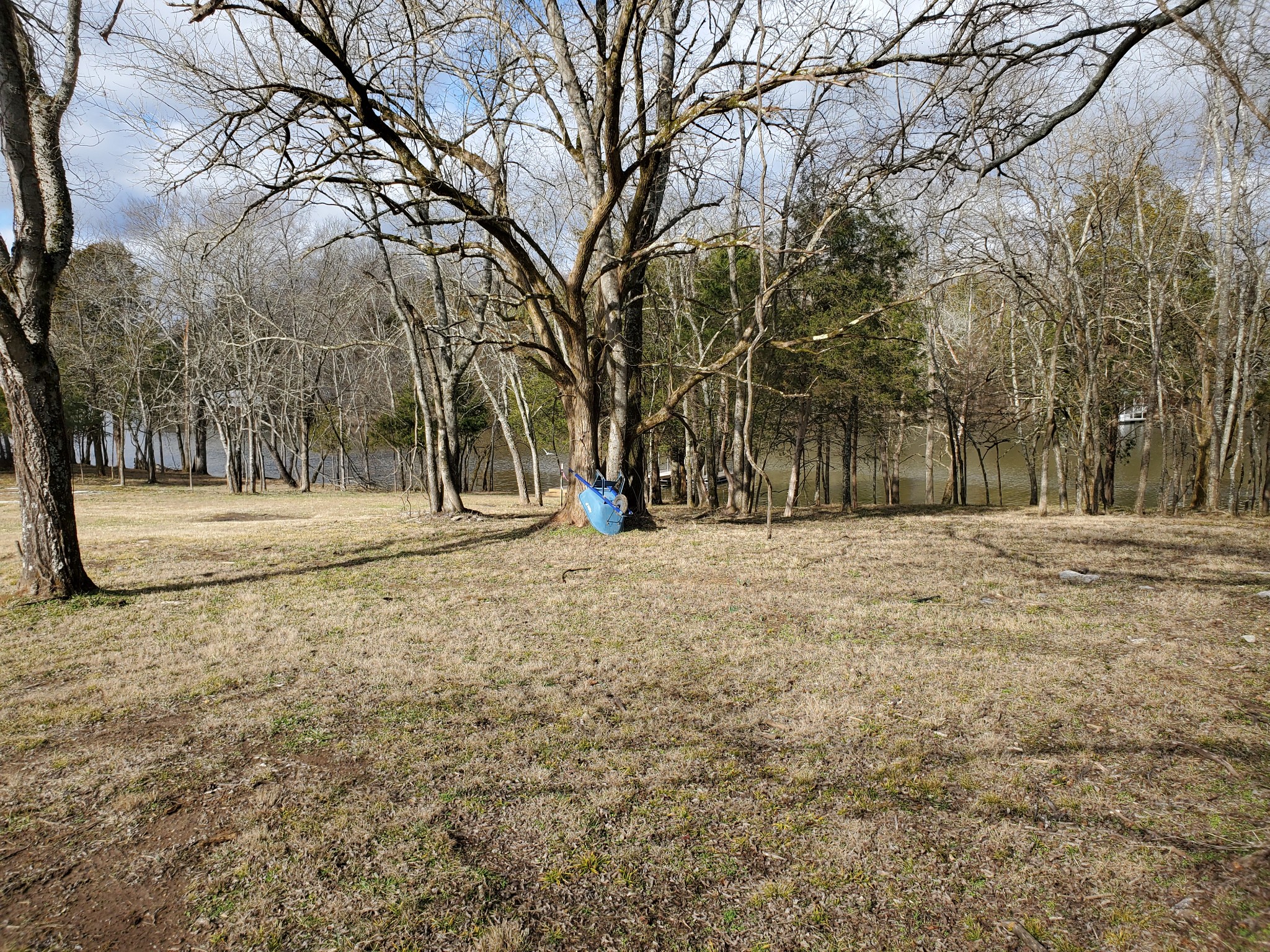 6 Flippen Road Lebanon, TN 37087 - Photo 17 of 24 a view of road with large trees