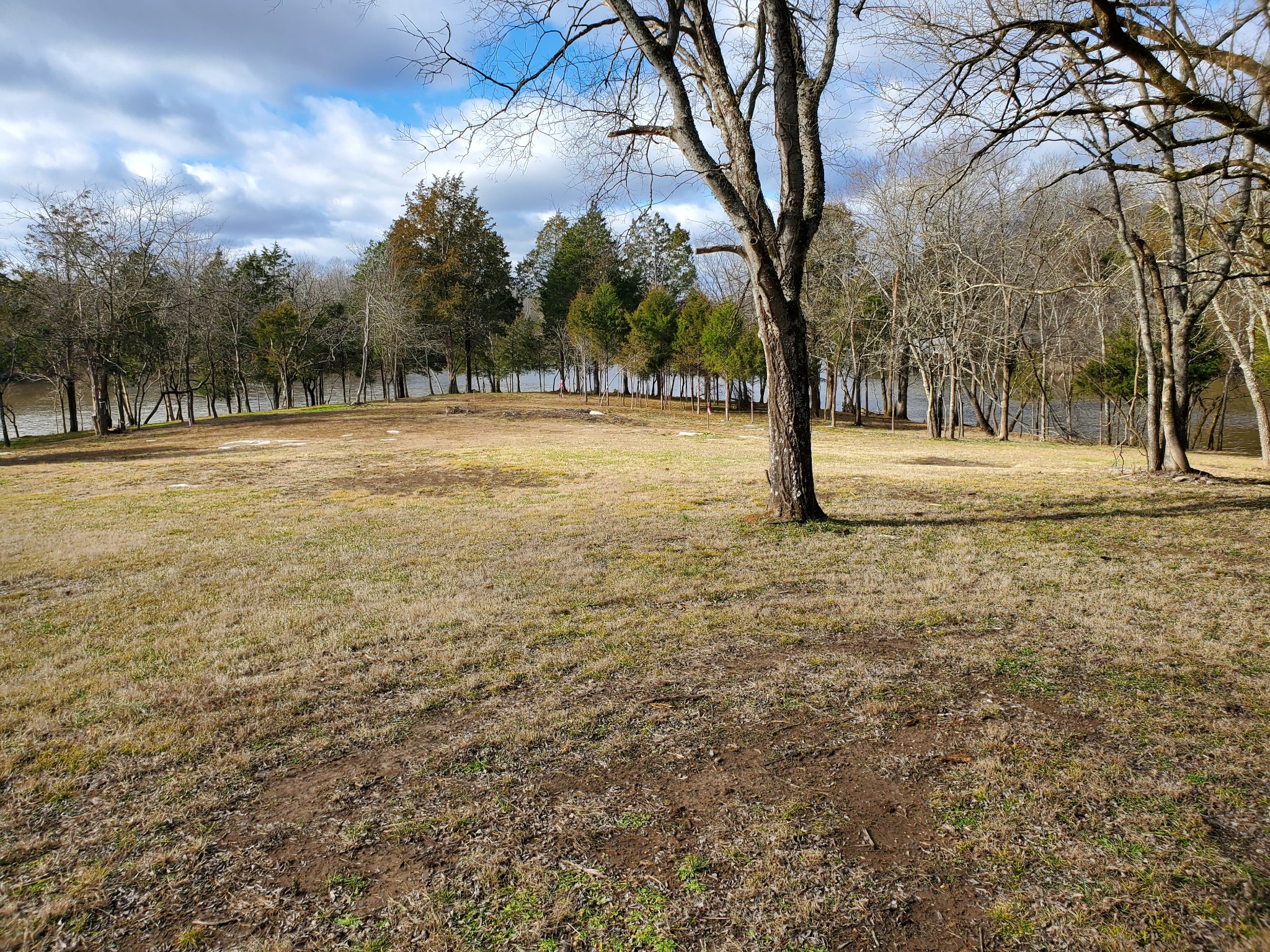 6 Flippen Road Lebanon, TN 37087 - Photo 18 of 24 a view of yard with trees