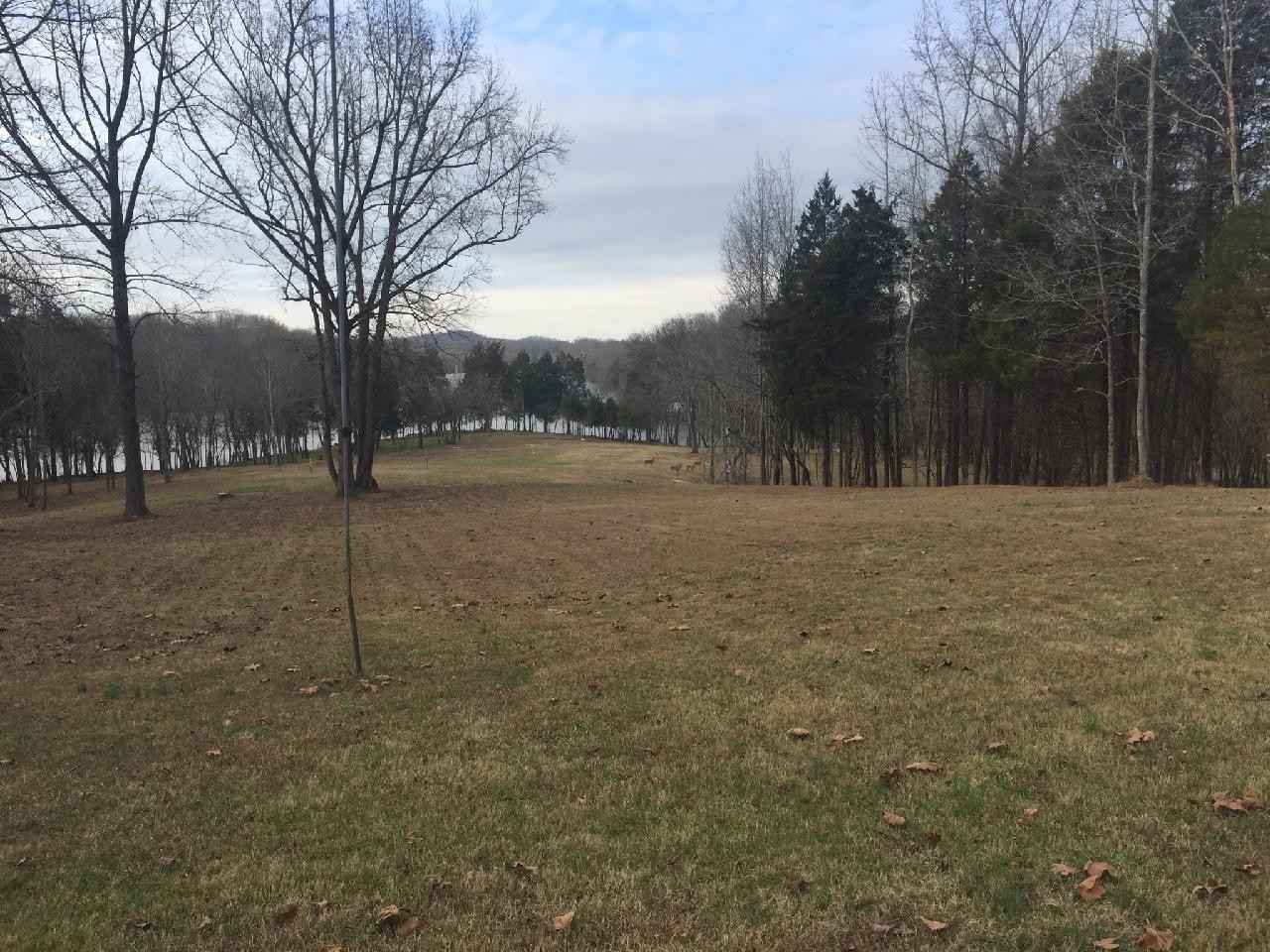 6 Flippen Road Lebanon, TN 37087 - Photo 20 of 24 a view of dirt field with trees