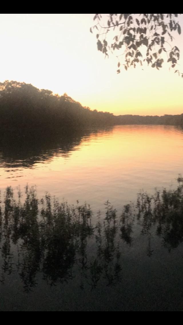 6 Flippen Road Lebanon, TN 37087 - Photo 7 of 24 a view of lake