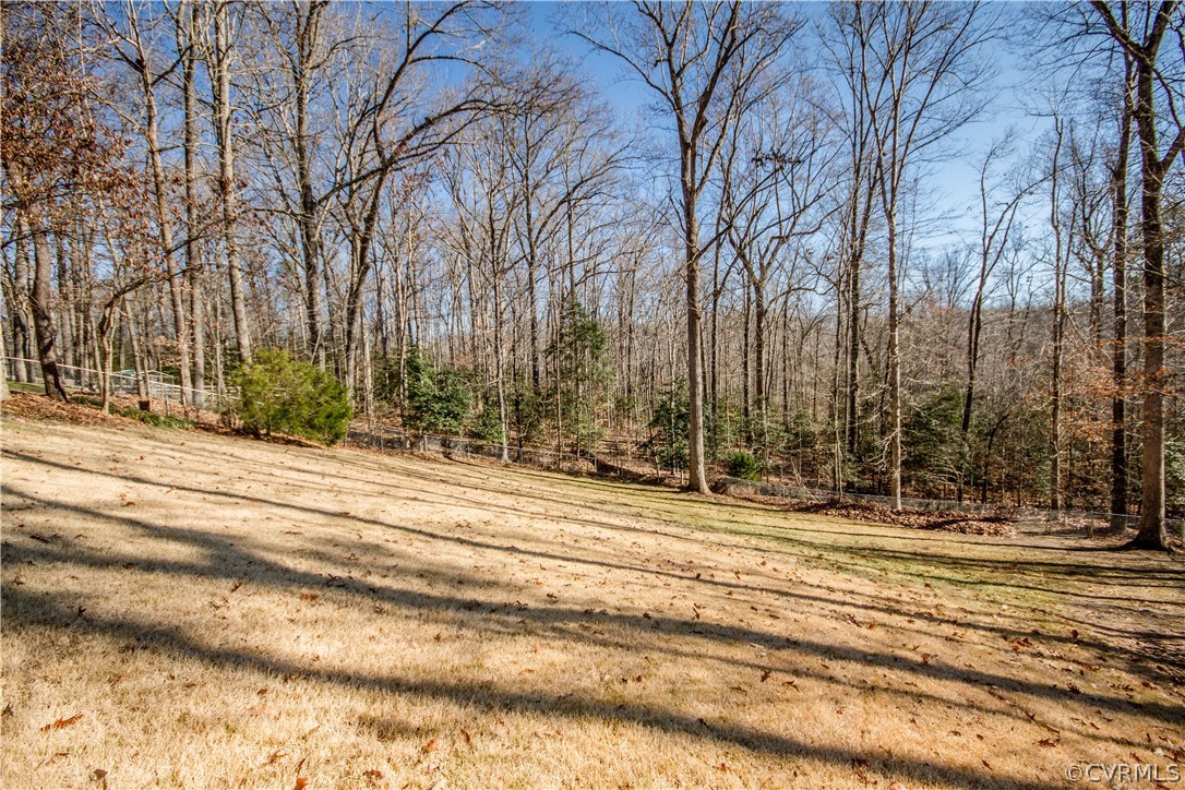 14601 Benefice Ridge Chesterfield, VA 23838 - Photo 24 of 25 Gallery Image 24