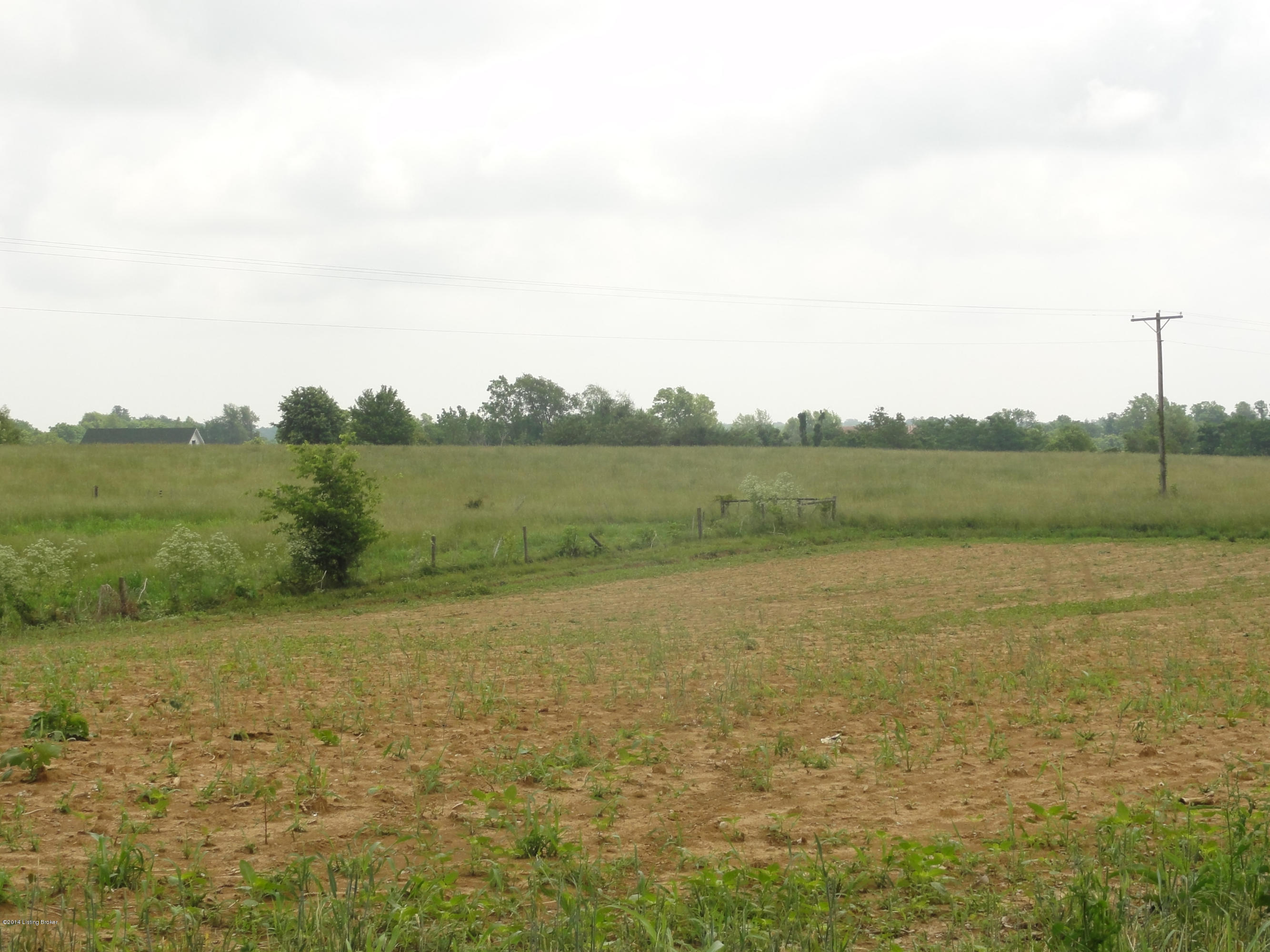 11351 Mt Eden Road Waddy, KY 40076 - Photo 6 of 7 DSC02730