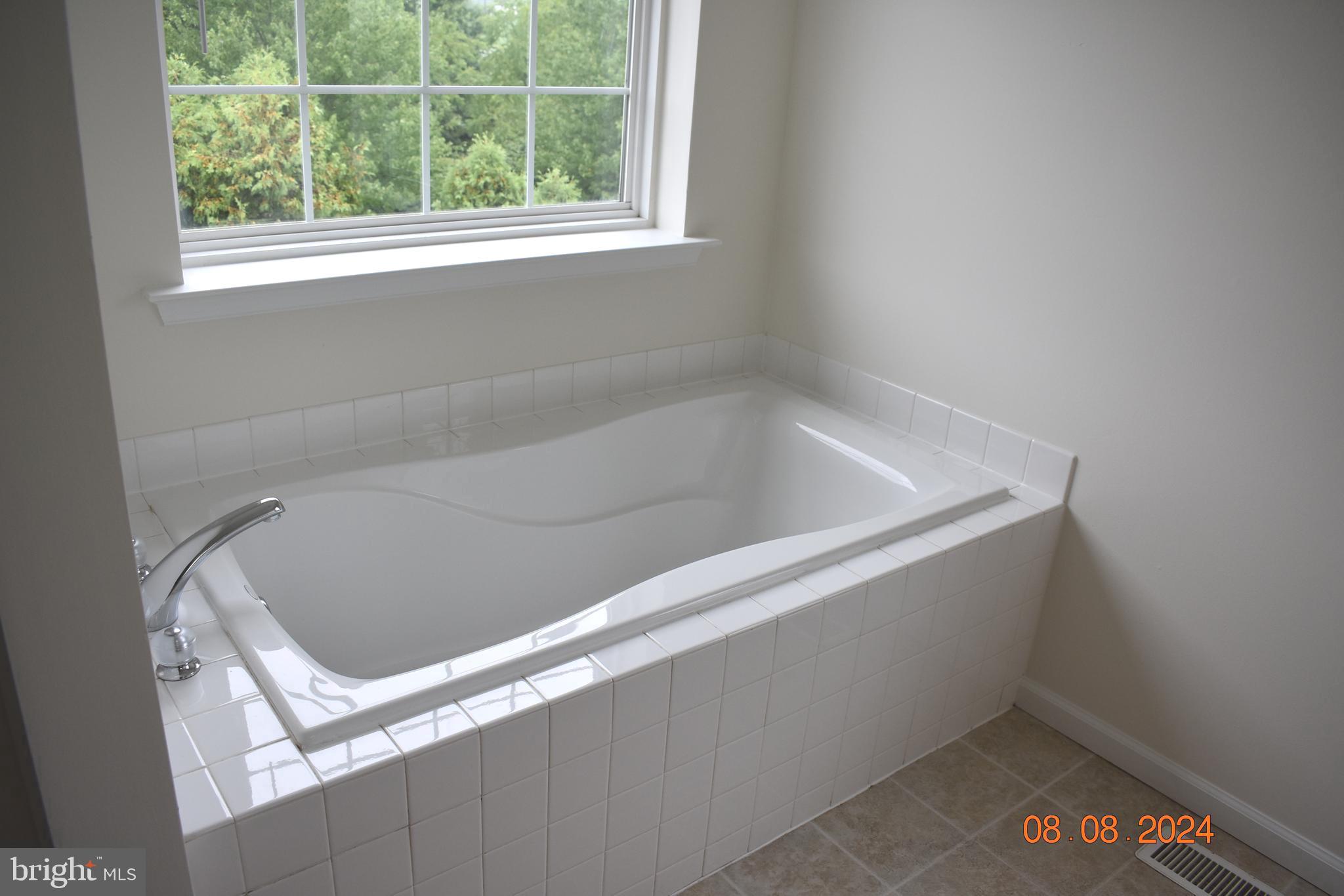 425 Buchanan Road Perkasie, PA 18944 - Photo 16 of 27 Main Bedrm Bath Soaking Tub