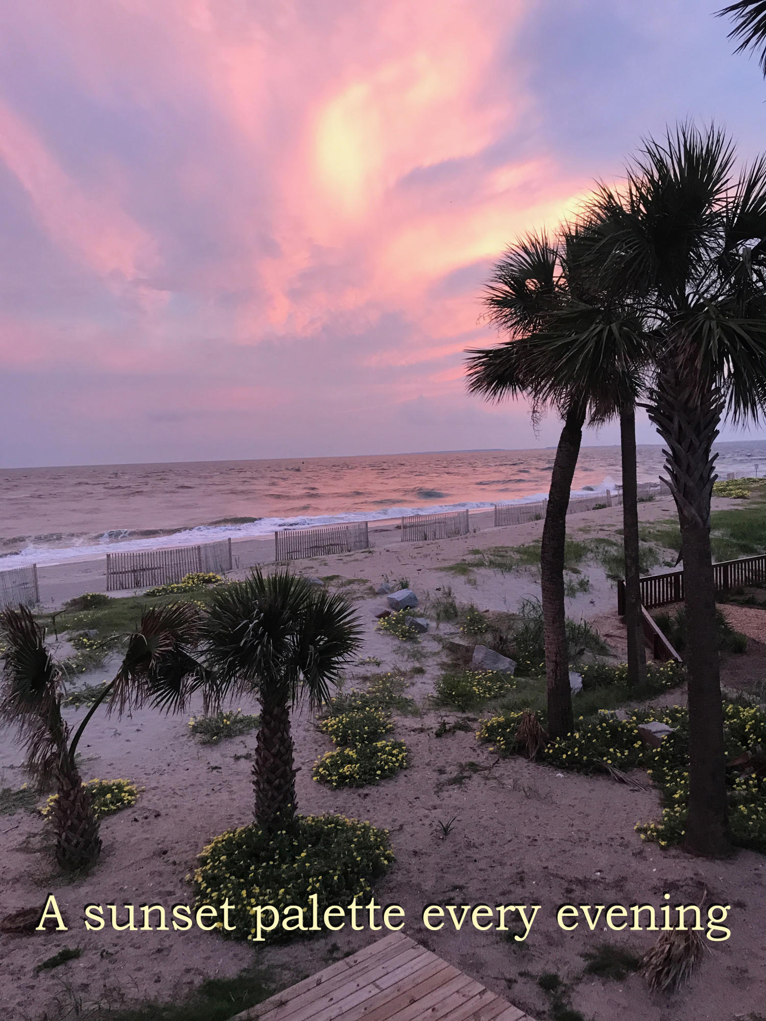2807 Point Street Edisto Island, SC 29438 - Photo 46 of 72 33b
