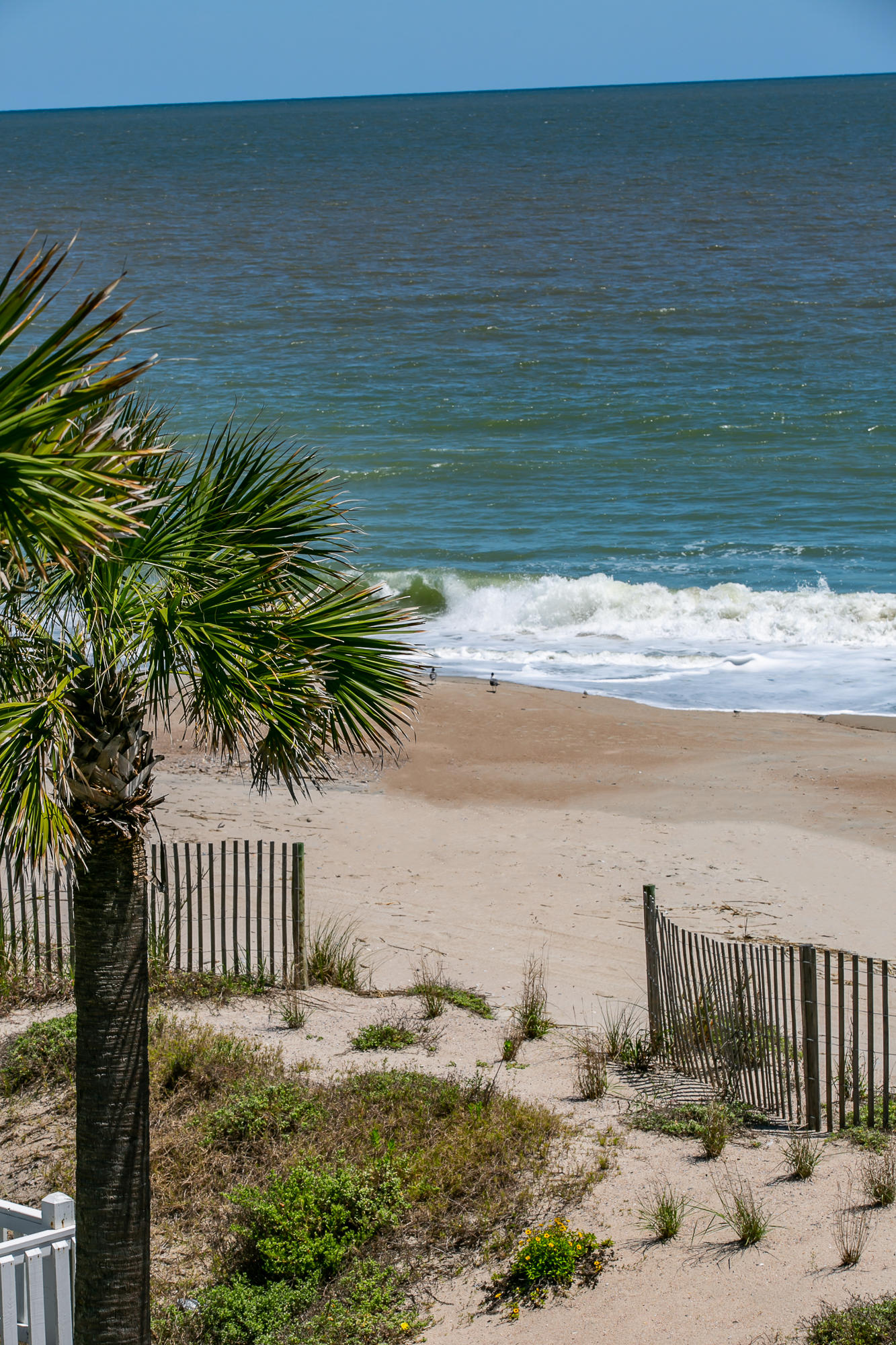 2807 Point Street Edisto Island, SC 29438 - Photo 7 of 72 9