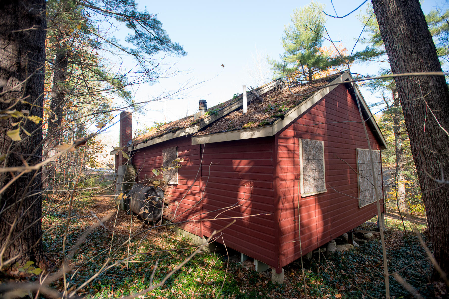 315 Old Alfred Road Hollis Center, ME 04042 - Photo 12 of 23 102921_teahouse_0008