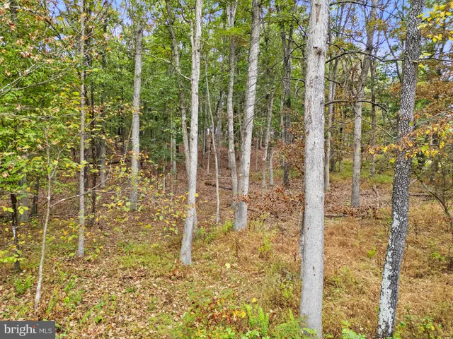 $104,000 | Lot 24 Bloomery Pike, Cross Junction, VA 22625