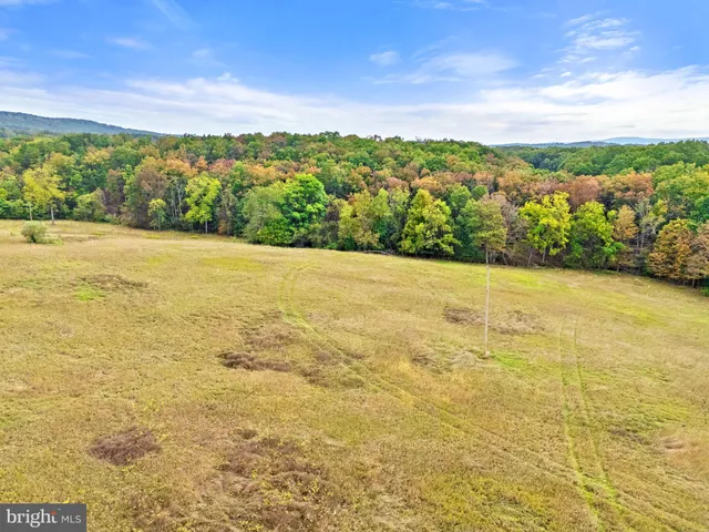 $104,000 | Lot 24 Bloomery Pike, Cross Junction, VA 22625