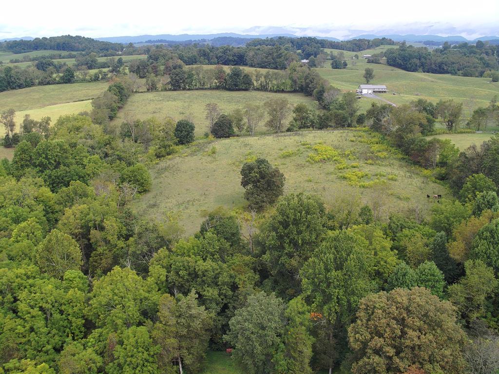 Tbd South Fork River Road Glade Spring, VA 24340 - Photo 1 of 25 Gallery Image 1