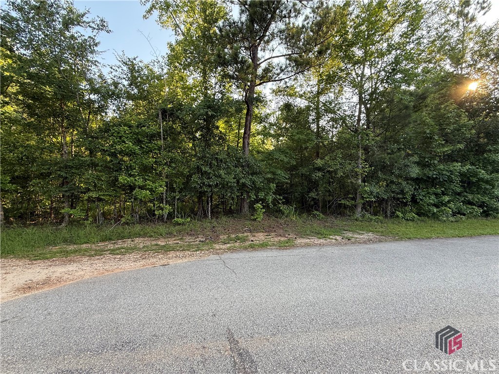 10 Cunningham Road Union Point, GA 30669 - Photo 7 of 8