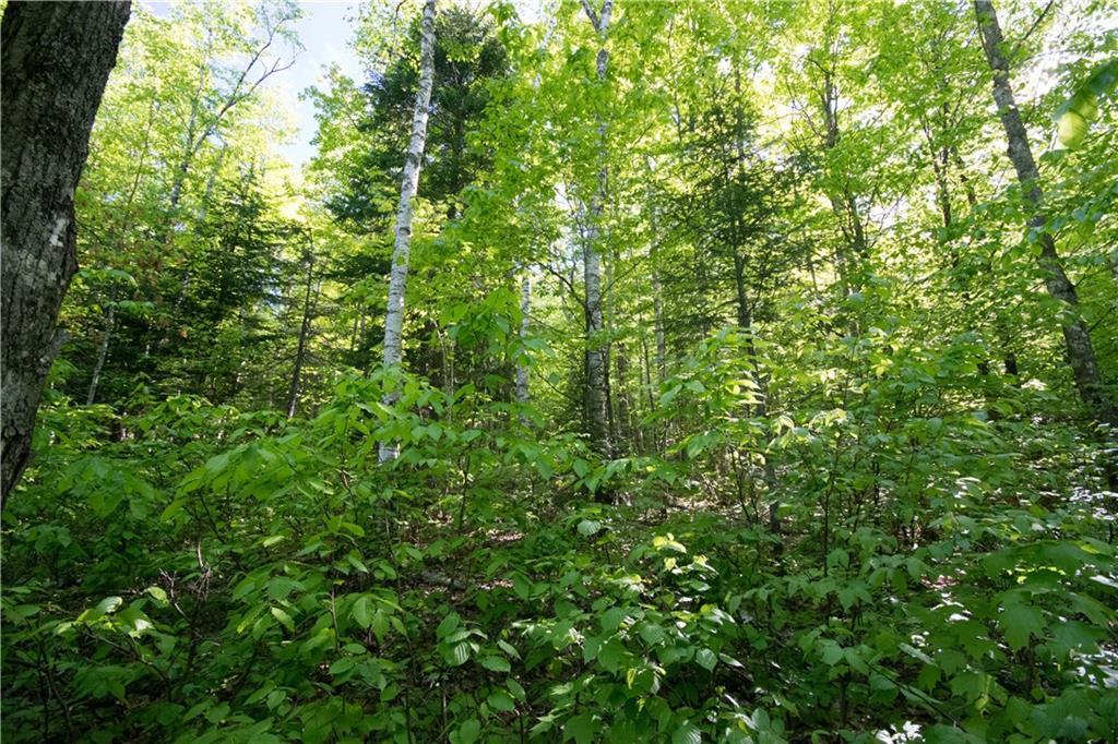 On Jalbert Road Fort Kent, ME 04743 - Photo 20 of 26 Land