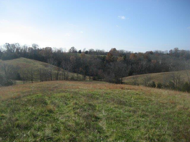 377 Cardwell-Tablow Road Harrodsburg, KY 40330 - Photo 5 of 10 Photo 5