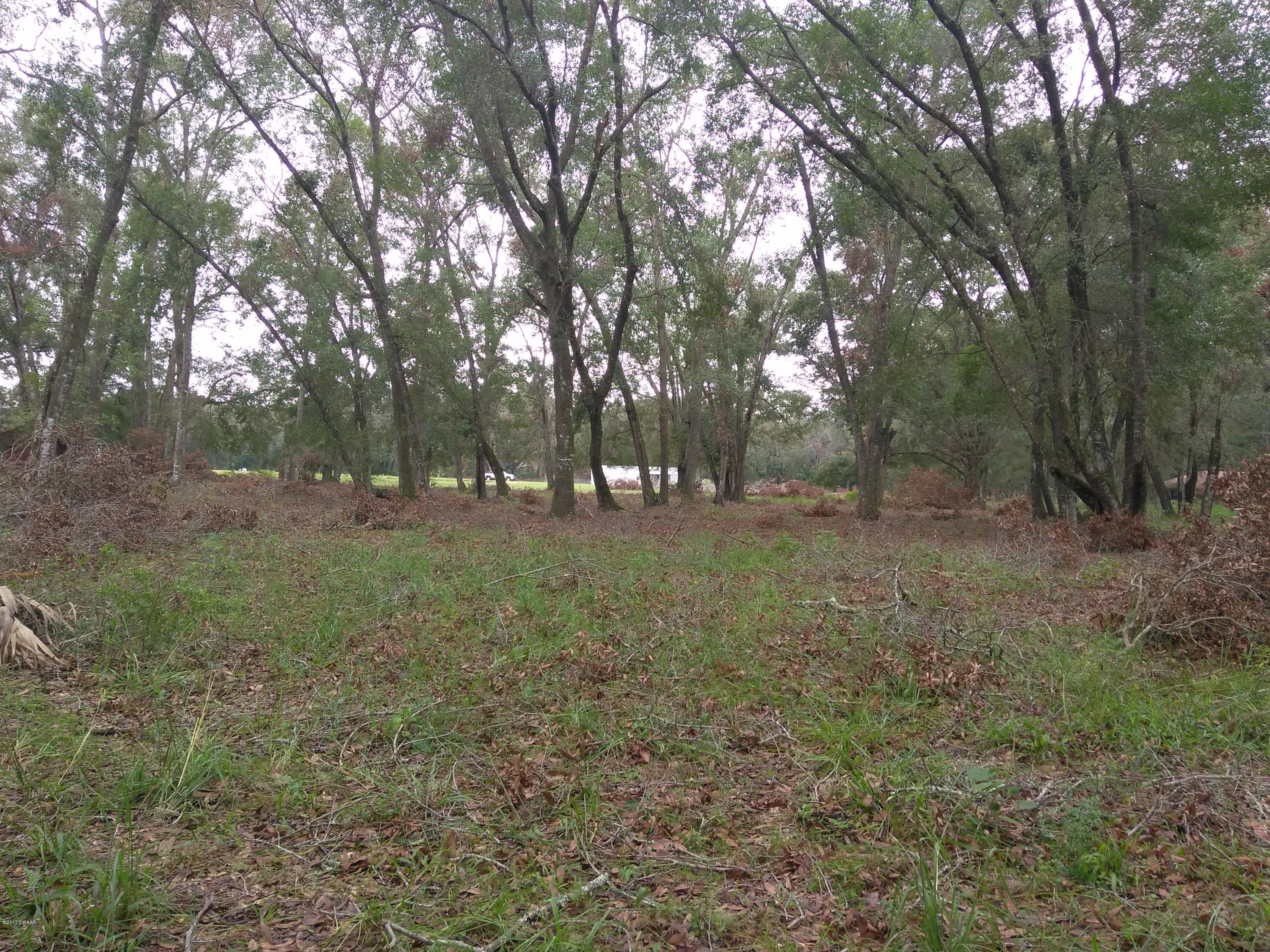 440 Windy Hill Road Seville, FL 32190 - Photo 17 of 17 IMG_20171001_163215