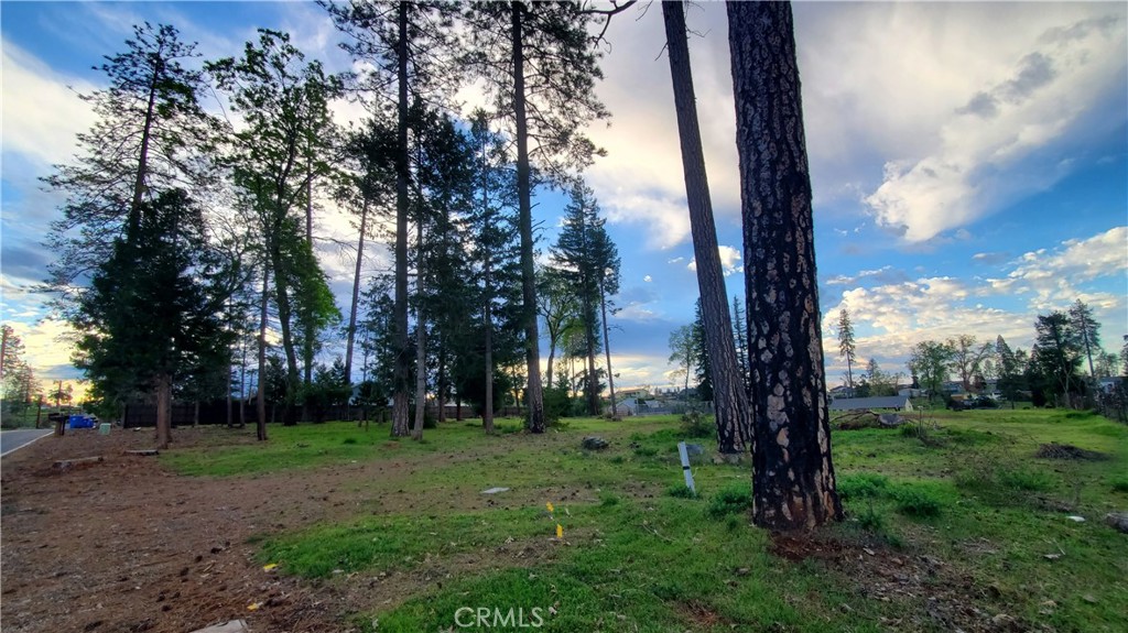 600 Bille Road Paradise, CA 95969 - Photo 11 of 16 View from front corner of property looking East, Bille Road on the left.