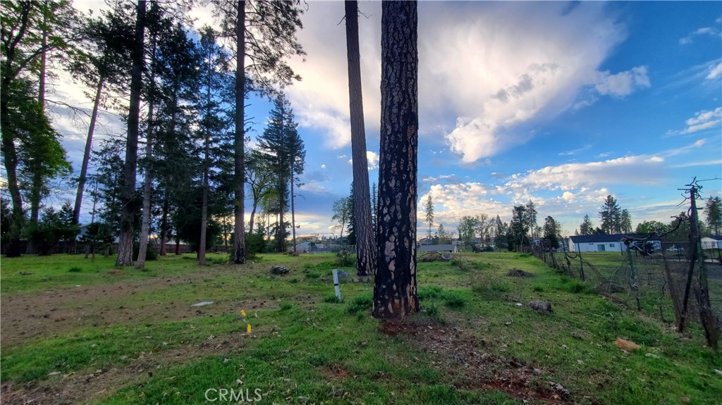 600 Bille Road Paradise, CA 95969 - Photo 12 of 16 View along westerly side of property facing Sunset Drive.