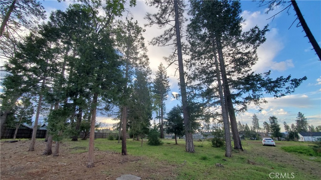 600 Bille Road Paradise, CA 95969 - Photo 13 of 16 View of front portion of property with trees remaining.