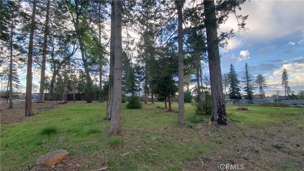 600 Bille Road Paradise, CA 95969 - Photo 14 of 16 View of front portion of property facing East with Bille Road to the left.
