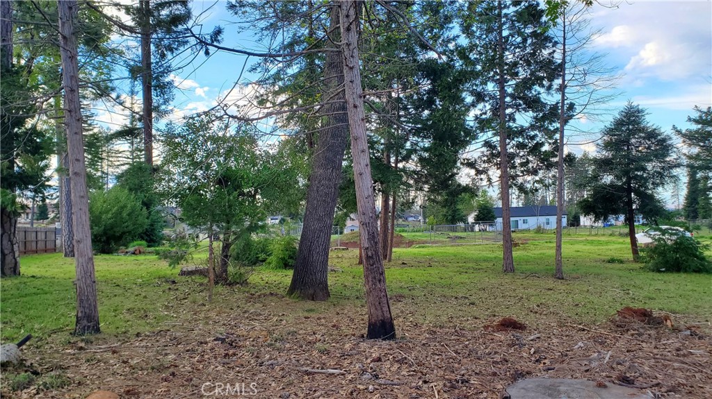 600 Bille Road Paradise, CA 95969 - Photo 8 of 16 View from front portion of property at Bille Road facing Southeast.