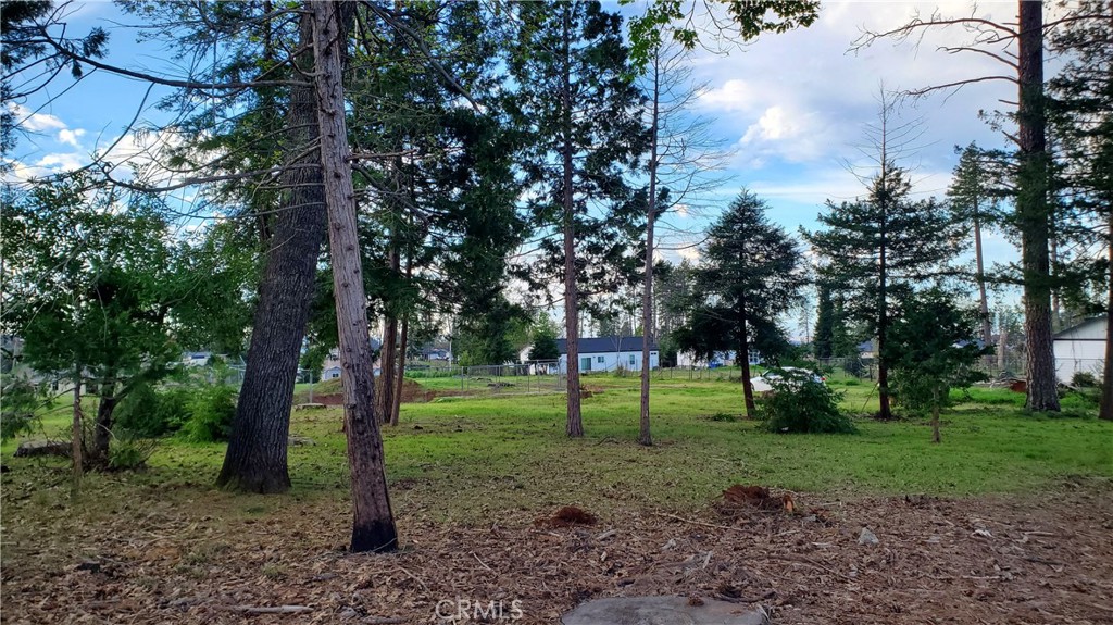 600 Bille Road Paradise, CA 95969 - Photo 9 of 16 View of property standing at Bille Road facing South toward Sunset Drive.