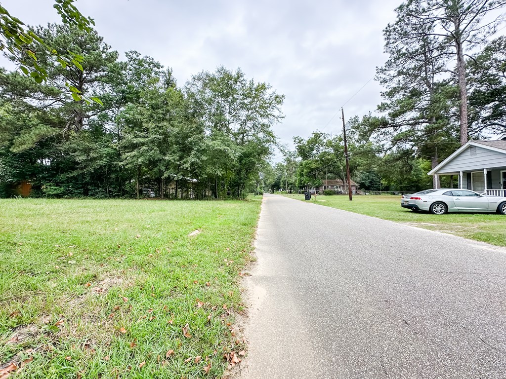 0 Hart Street Geneva, AL 36340 - Photo 4 of 5